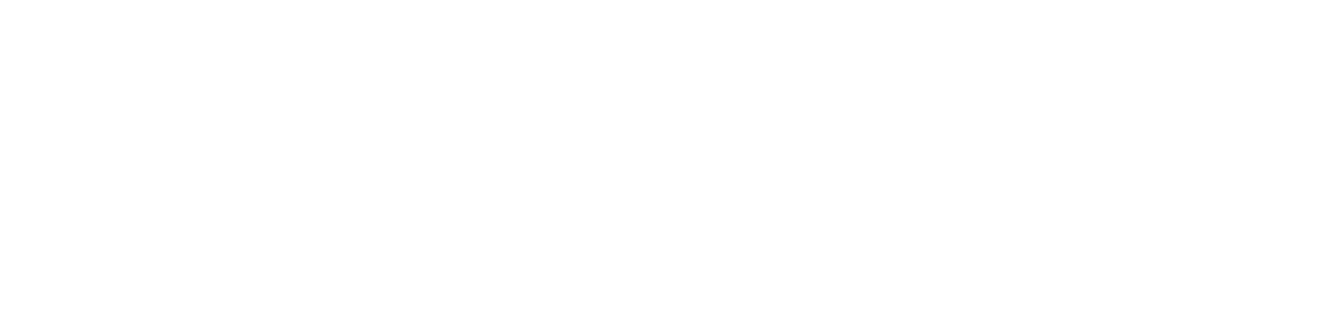 First Aging Care